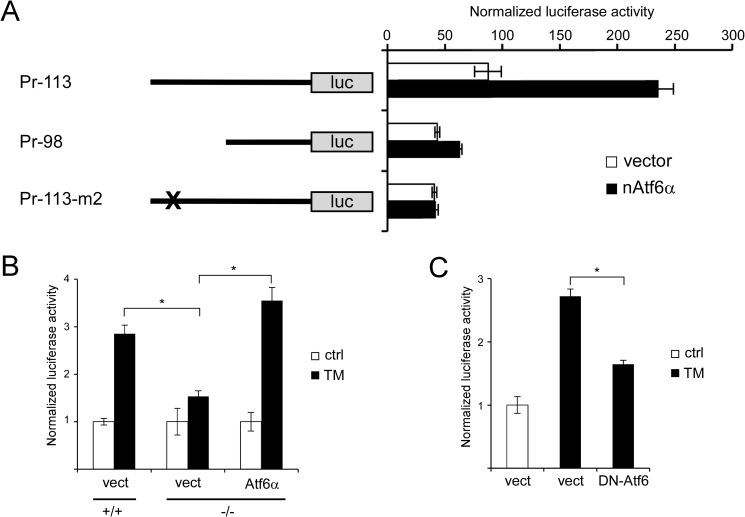 FIGURE 7.