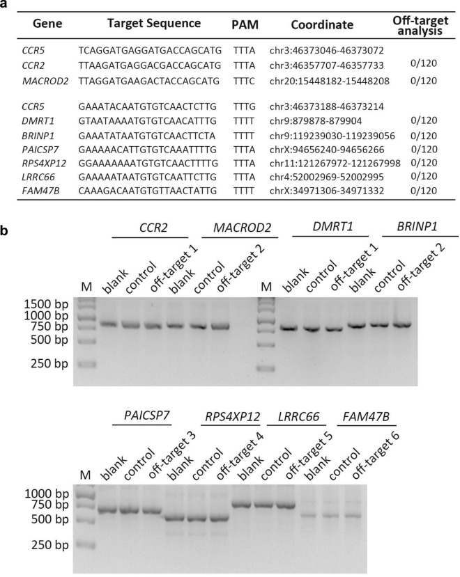 Fig. 7