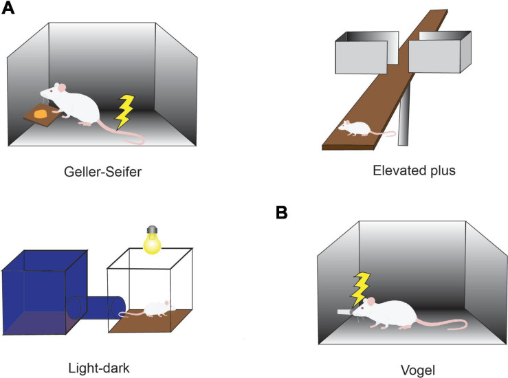 FIGURE 1