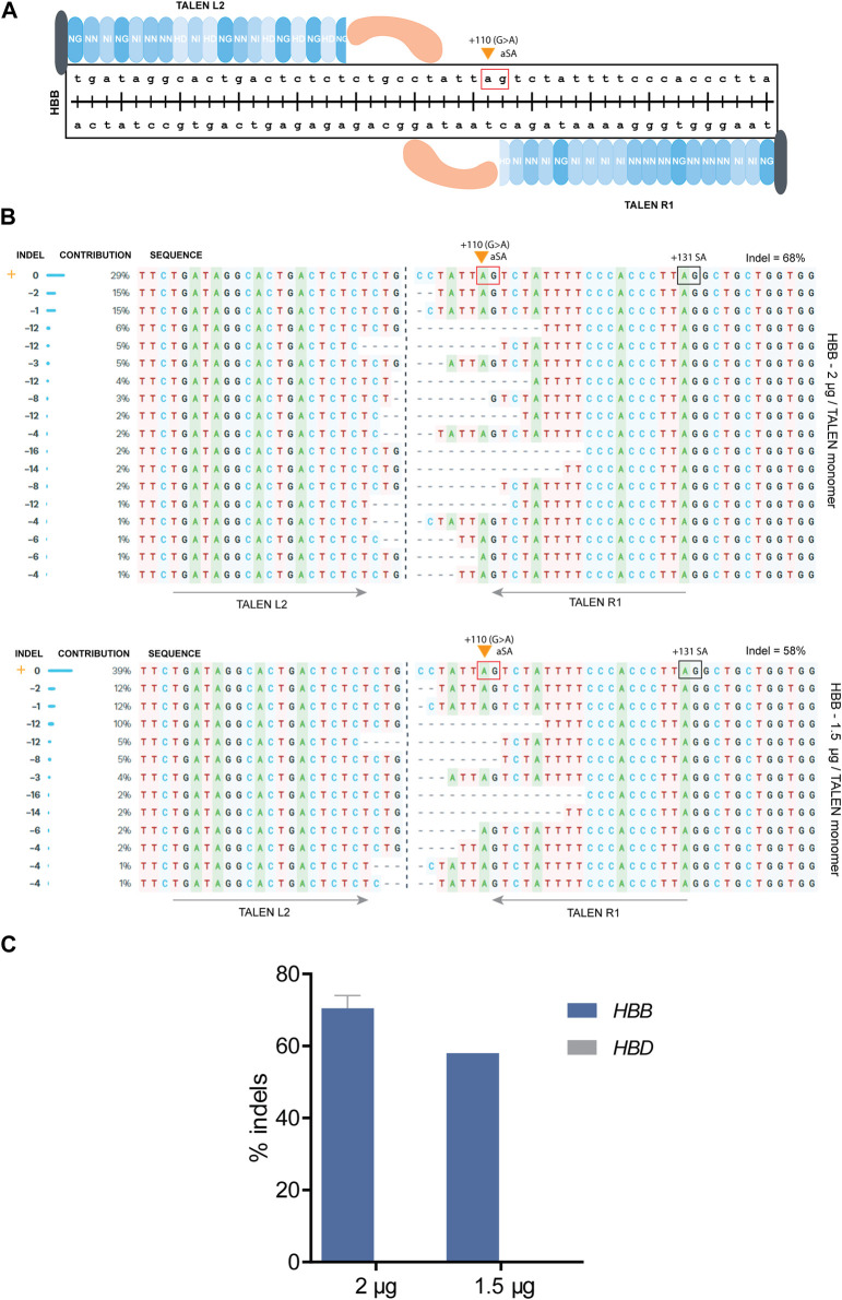 FIGURE 4