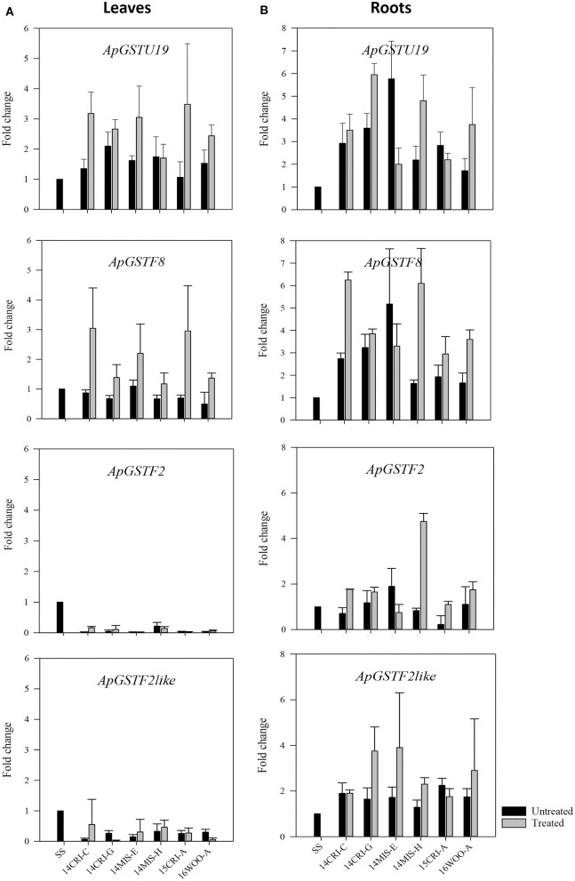 Figure 4