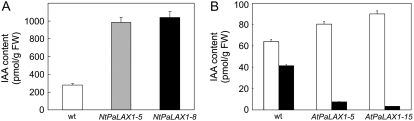 Figure 5.