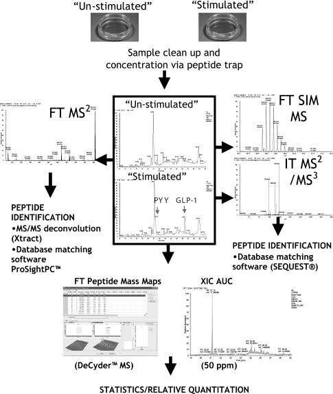 Scheme 1.