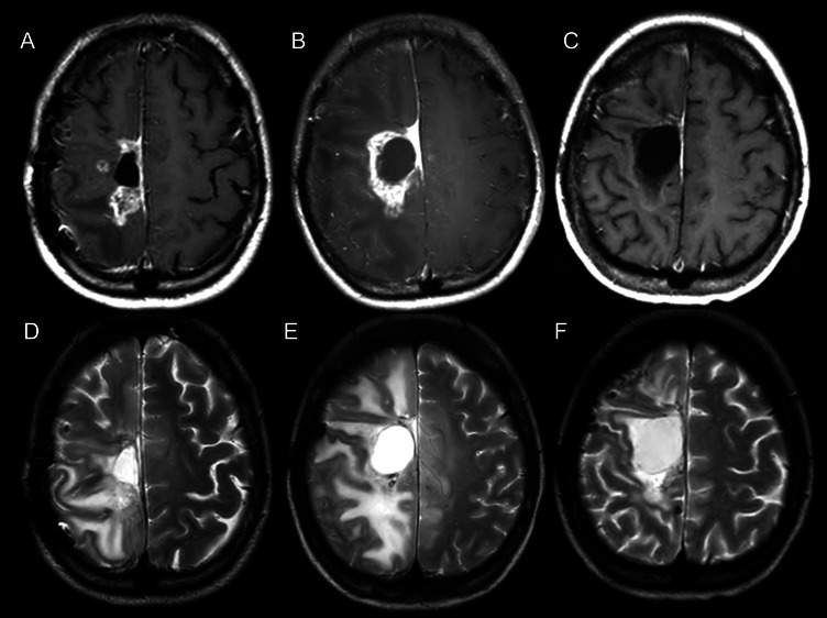 Fig. 3.