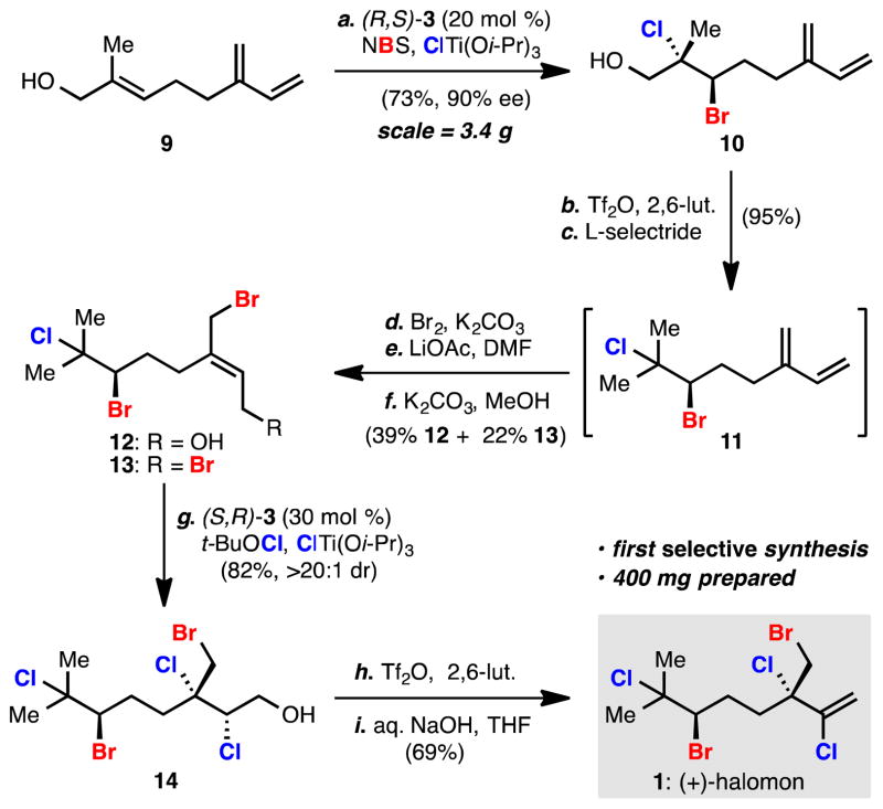 SCHEME 2