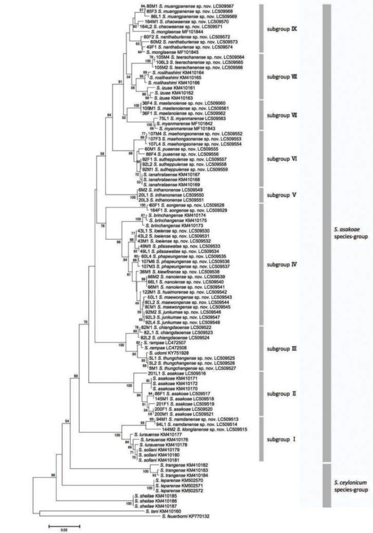 Figure 26.