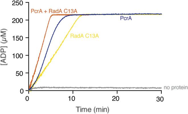 FIGURE 3