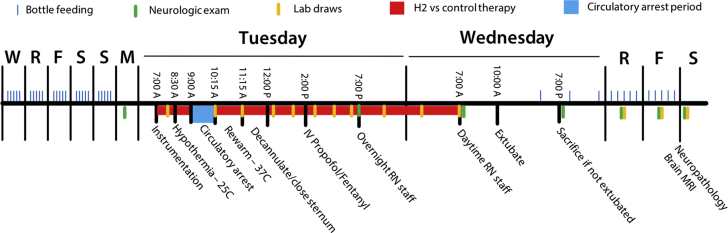 Figure 2