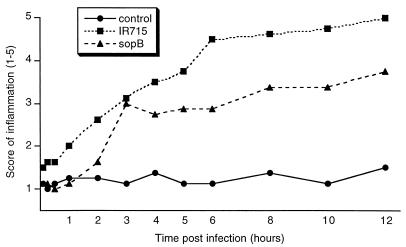 FIG. 3