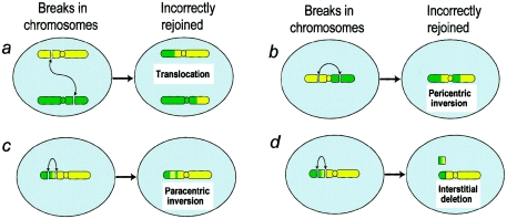 Figure  1