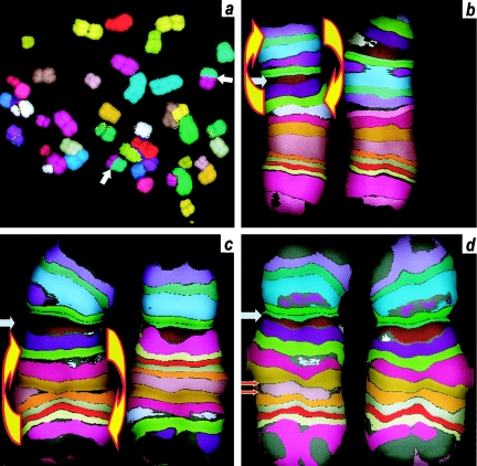 Figure  3