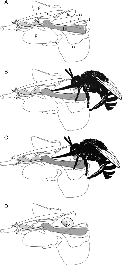 Fig. 6.