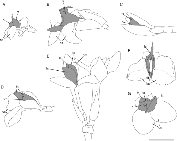 Fig. 4.