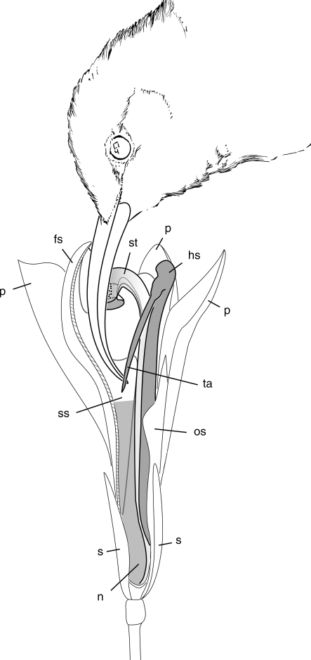 Fig. 7.