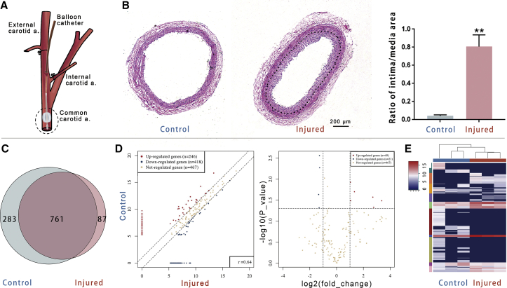 Figure 1