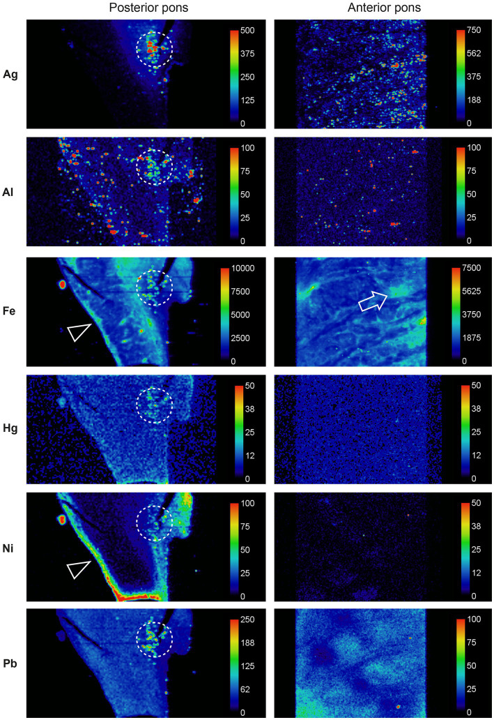 Figure 6