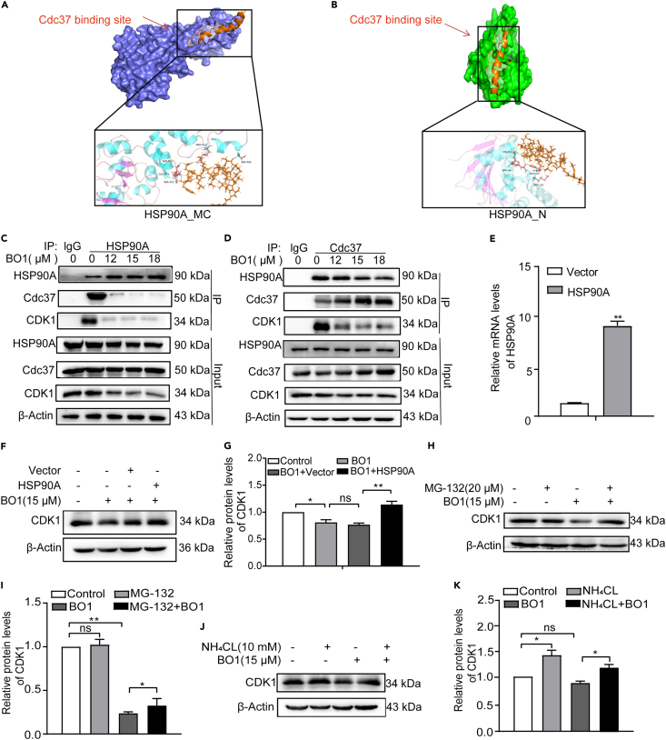 Figure 4