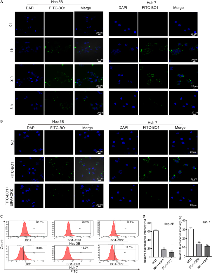 Figure 2