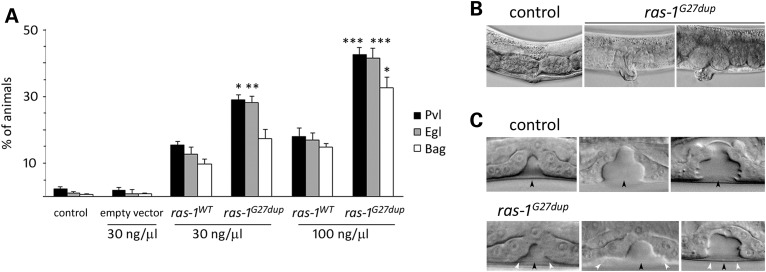 Figure 5.