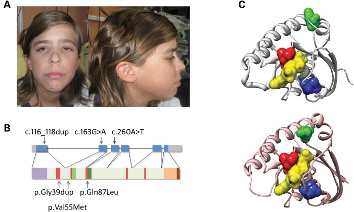 Figure 1.