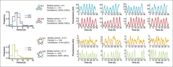 Figure 4—figure supplement 1.