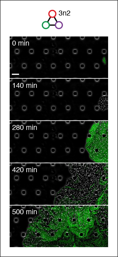 Figure 4—figure supplement 2.