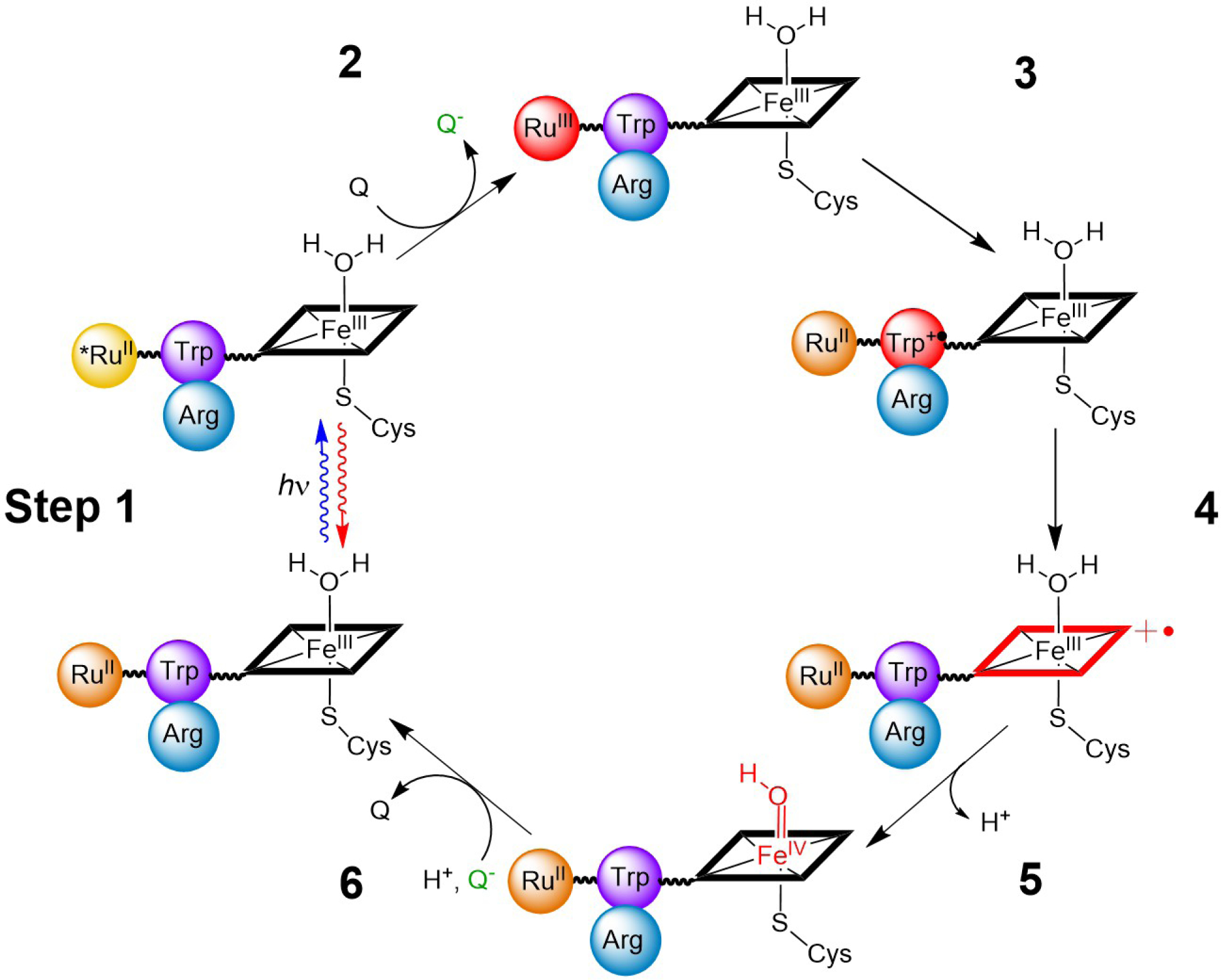 FIGURE. 1: