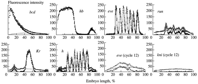 Fig. 10