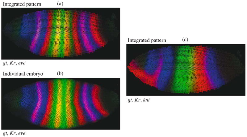 Fig. 14