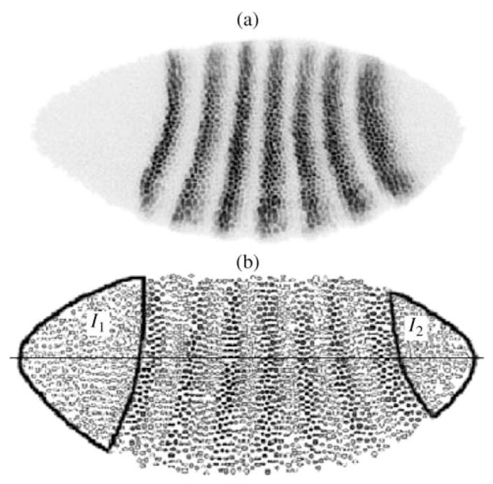 Fig. 9