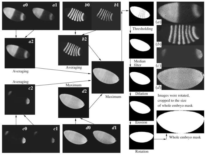 Fig. 3