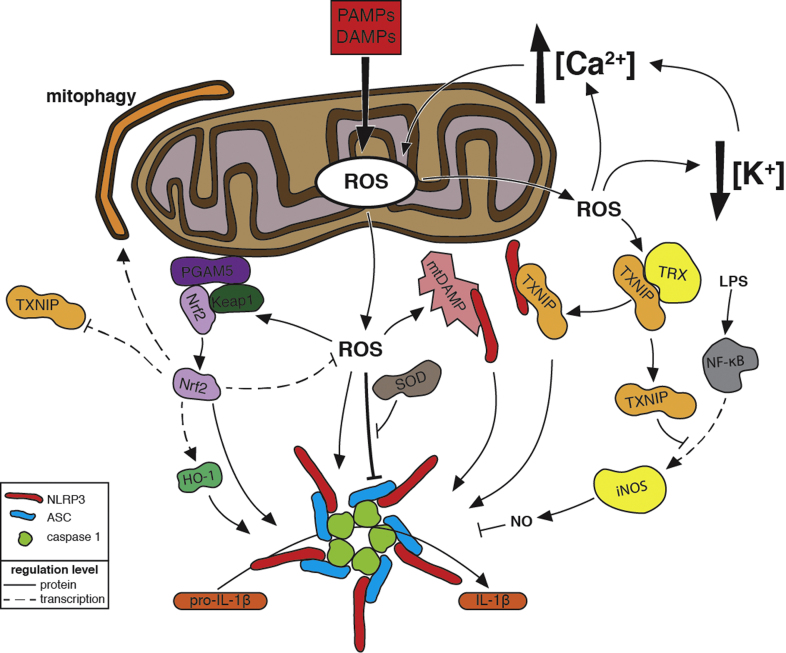 Fig. 3