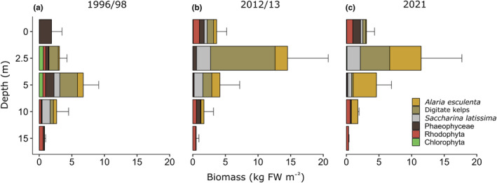 FIGURE 3