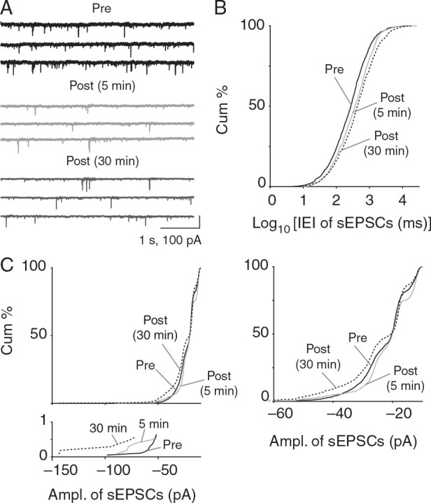 Figure 4.