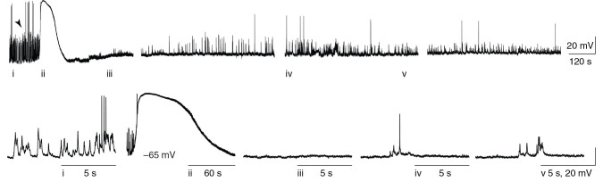 Figure 1.