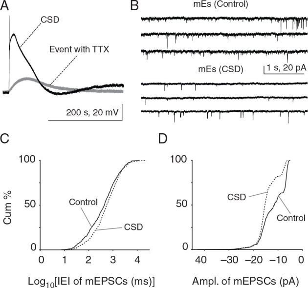 Figure 5.