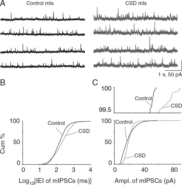 Figure 7.