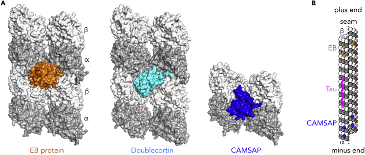 Figure 6