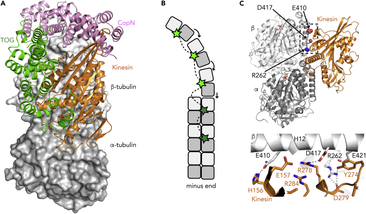 Figure 5