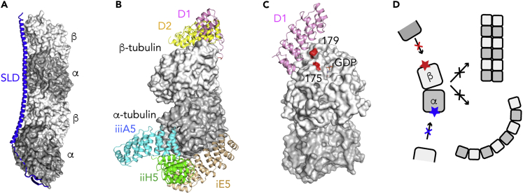 Figure 1