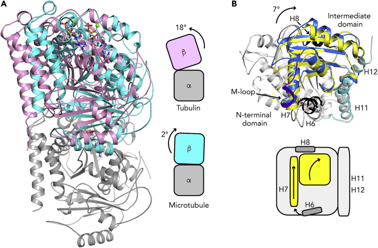 Figure 2