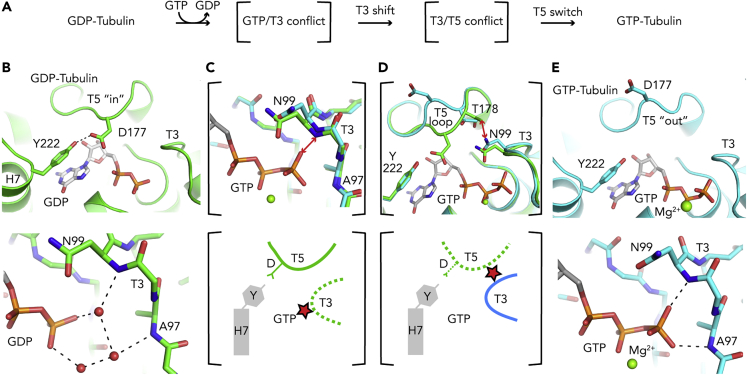 Figure 3