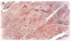 Fig (6).