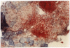 Fig (2).