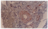 Fig (4).