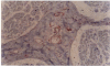 Fig (3).