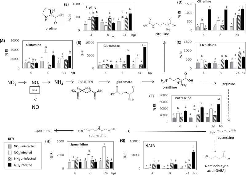 Fig. 6. 