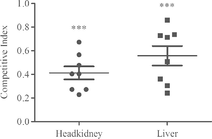 FIG 7