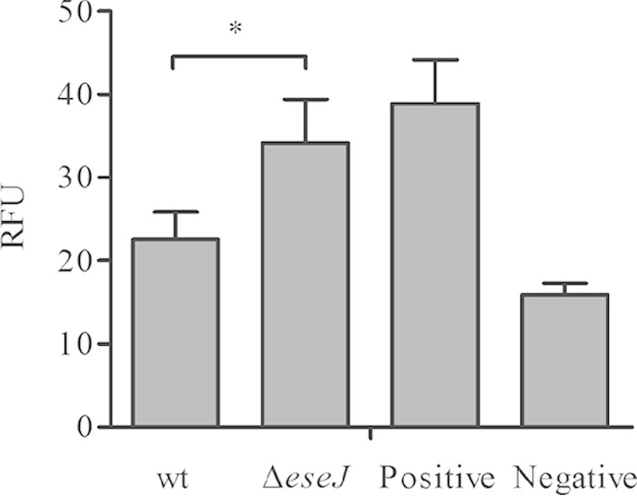 FIG 6