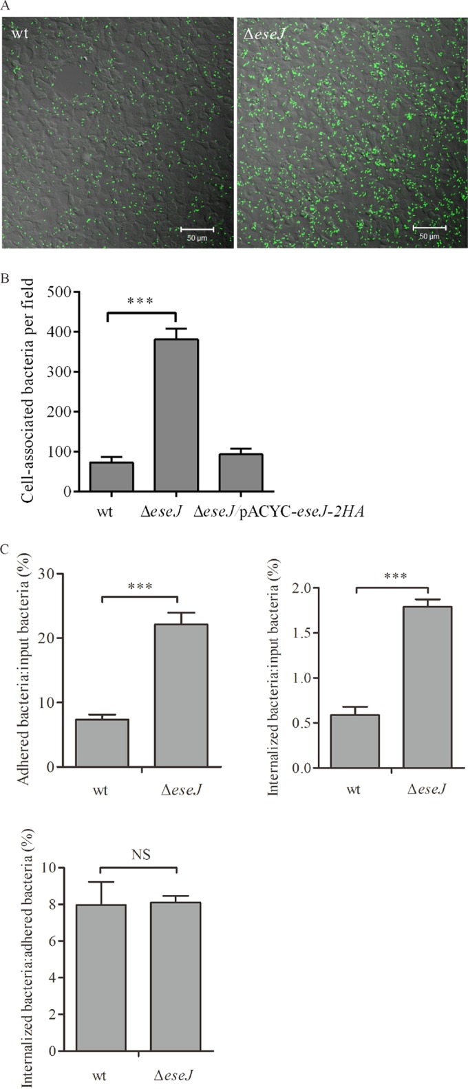 FIG 3